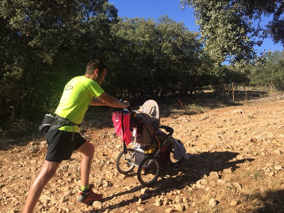 Dos ramos en el camino