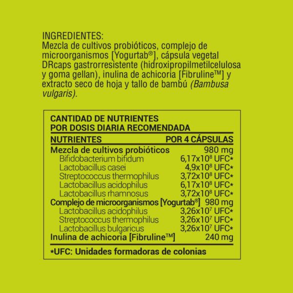 Lactobacilos probióticos para el equilibrio intestinal - Imagen 4