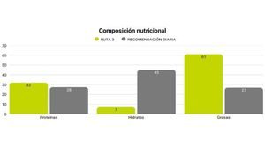 Grafico ruta saludable - recomendación diaria (2)