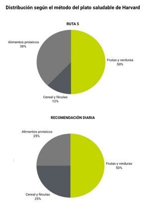 Ruta saludable 1 gráfico plato harvard (3)