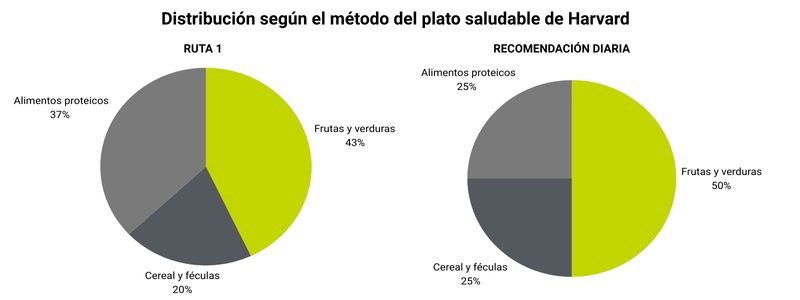 Ruta saludable 1 gráfico plato harvard
